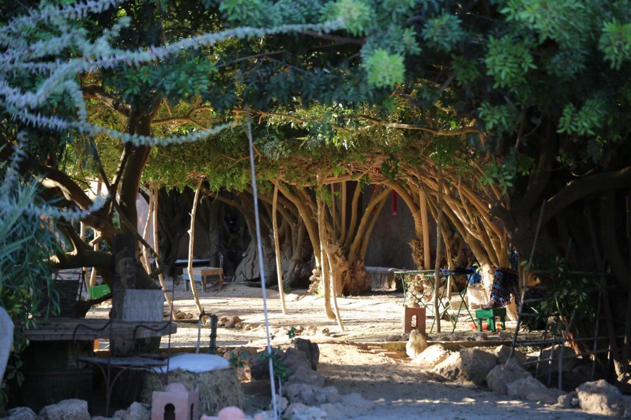 Dar Tawarta Guest House Ντάχλα Εξωτερικό φωτογραφία