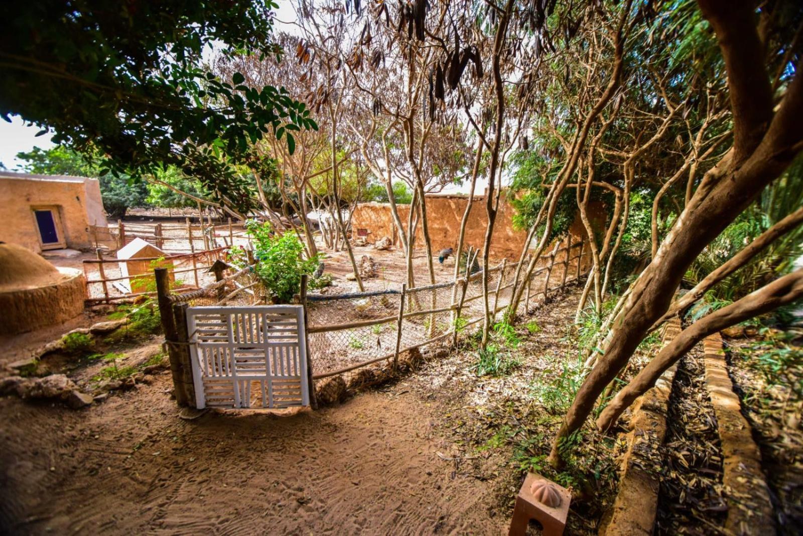 Dar Tawarta Guest House Ντάχλα Εξωτερικό φωτογραφία