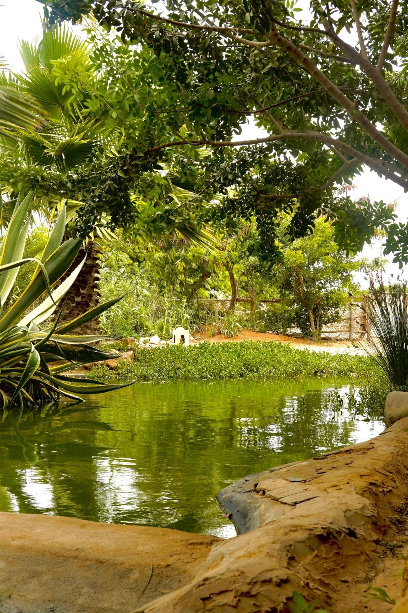 Dar Tawarta Guest House Ντάχλα Εξωτερικό φωτογραφία